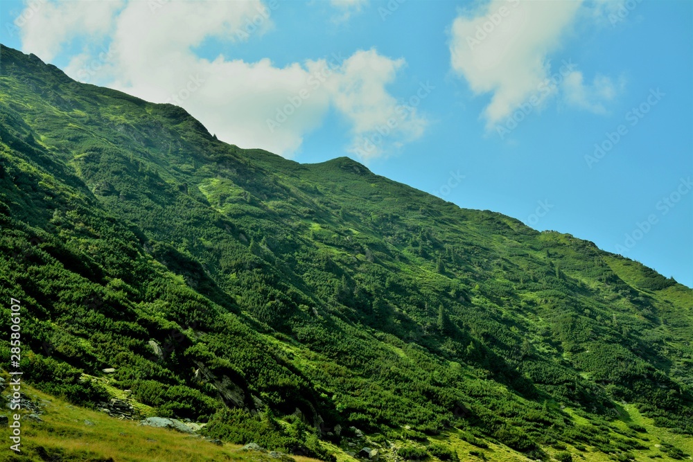 Naklejka premium landscape in Fagaras mountains in summer