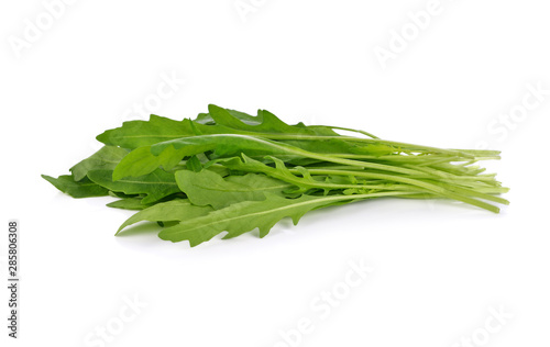 Sweet rucola salad or rocket lettuce leaves isolated on white ba