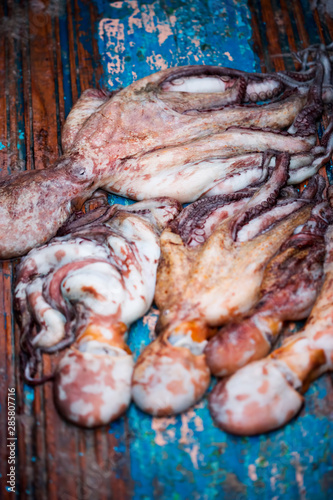 Octopuses in fishing village Essaouira, wooden box