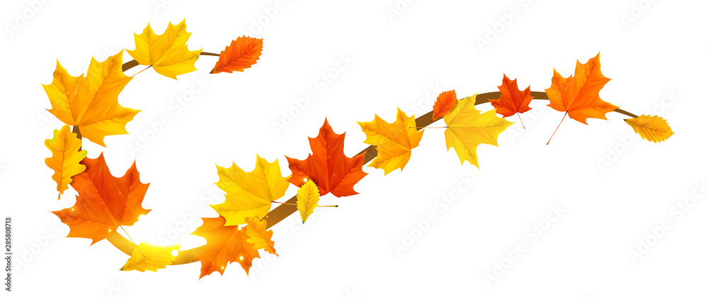 Fototapeta premium autumn border element with colored leaves