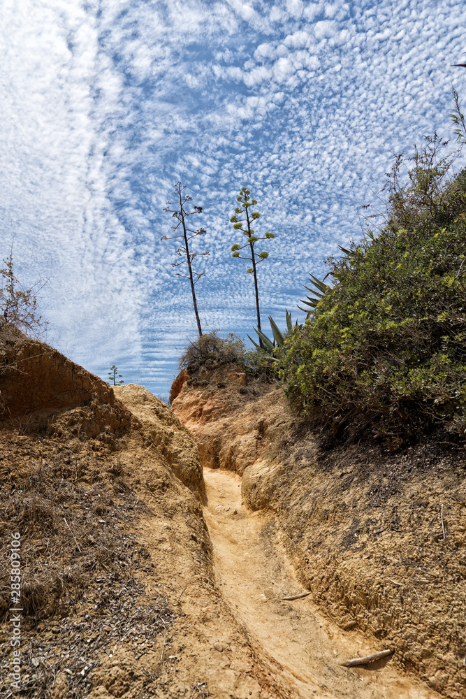 Mesozoikum. Erdmittelalter. Stock Photo Adobe Stock
