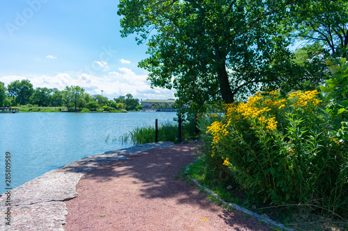 Path with Yellow Flowers at the Humboldt Park Lagoon