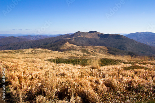 Fototapeta Naklejka Na Ścianę i Meble -  Landscape - Połonina Wetlińska