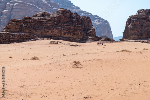 Wadi Rum desert great landscape photo