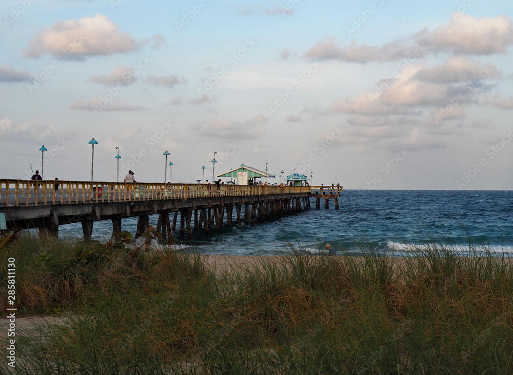 Looking at the pier from behind the sea grass at Lauderdale Florida