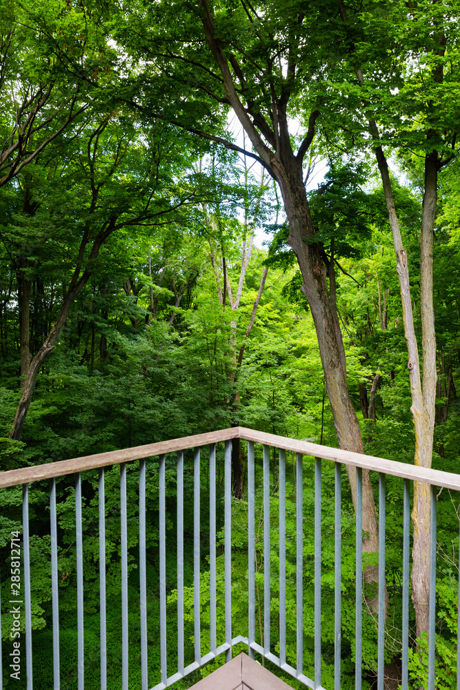 View of a lush forest from a corner of a patio View of a lush forest from a corner of a patio