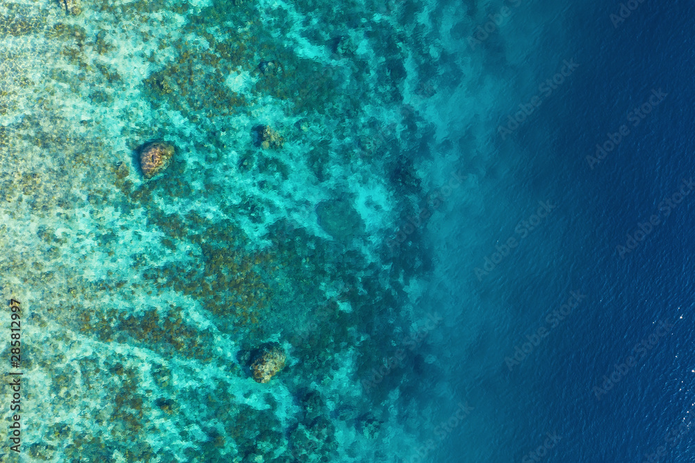 Fototapeta premium biletskiyevgeniy.com