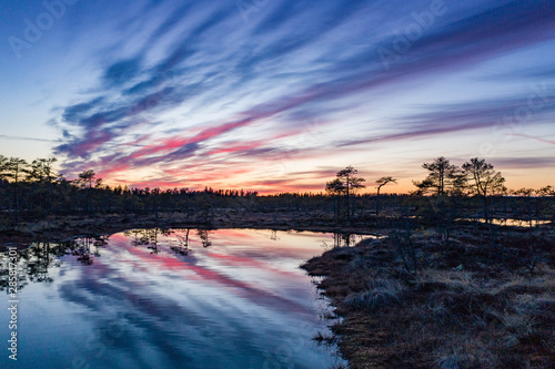 Sunset in the bog, golden marsh, lakes and nature environment. Sundown evening light in spring