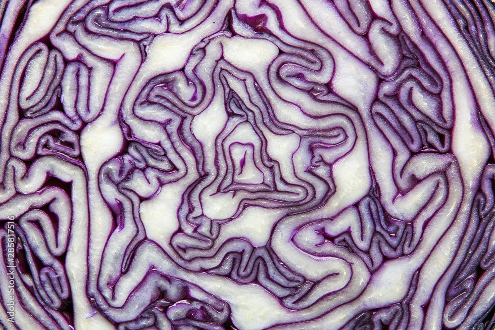 cut cauliflower for abstract background cut cauliflower for abstract background