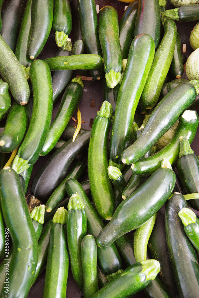 Close-up full frame view of a variety of organic Italian squash zucchini displayed at a market stand Close-up full frame view of a variety of organic Italian squash zucchini displayed at a market stand