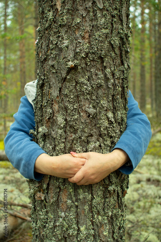 Woman hugging a tree in a pine forest. The concept of nature and people.
