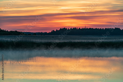 Evening sunlight on coast  pink clouds  blue sky reflection on water. Beach in summer. Seaside natural environment. Shore in Laelatu  small island in Estonia. Nature Reserve in North Europe