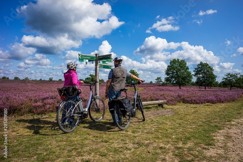 Lüneburger Heide  - Heidschnuckenweg