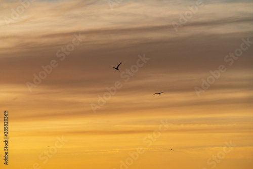 Blue sky and golden clouds. Cloudy sky natural background. Evening sunlight