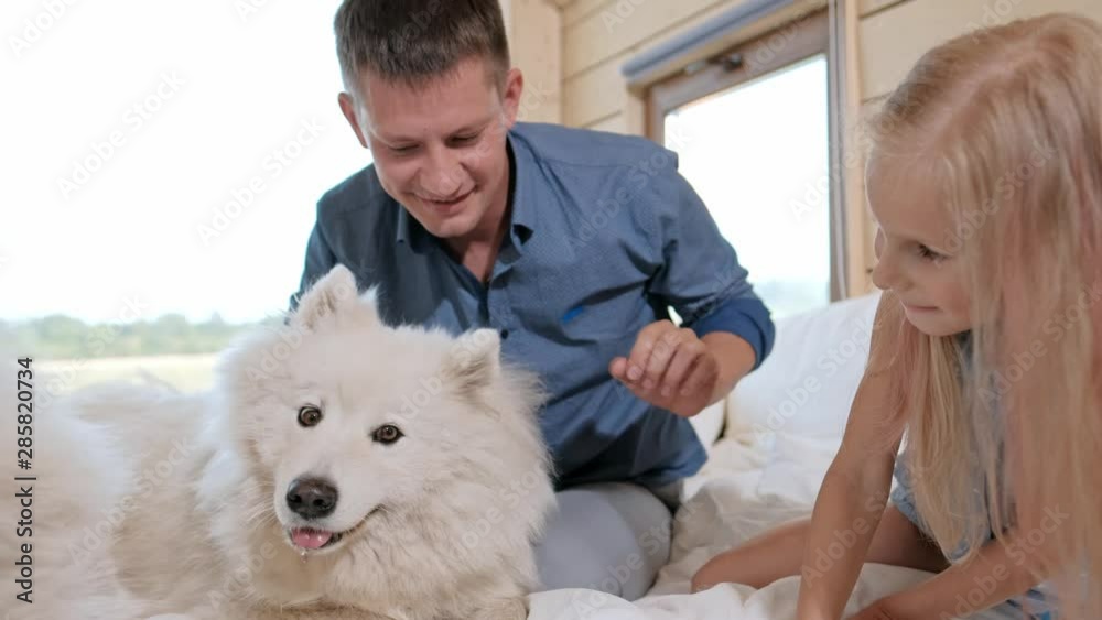 Young Caucasian family couple with baby daughter in a small modern rustic house with a large window. Lying on the bed, hugging, playing and looking out the window. Two Samoyeds. Weekend vacation conce Young Caucasian family couple with baby daughter in a small modern rustic house with a large window. Lying on the bed, hugging, playing and looking out the window. Two Samoyeds. Weekend vacation conce