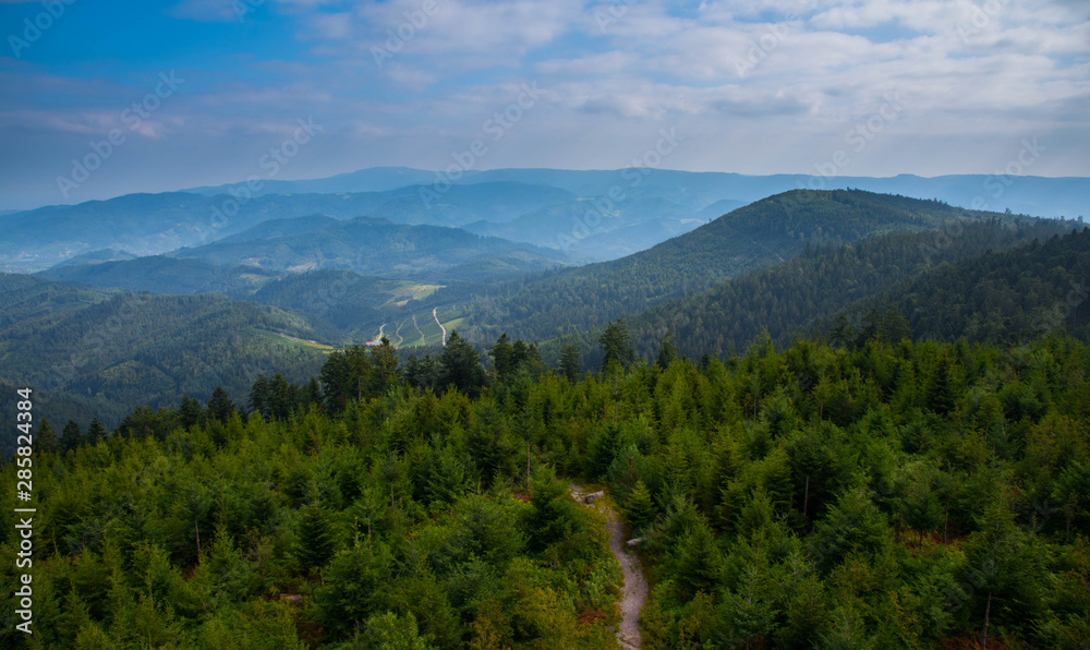 Landschaft im Schwarzwald nahe des Moosturm