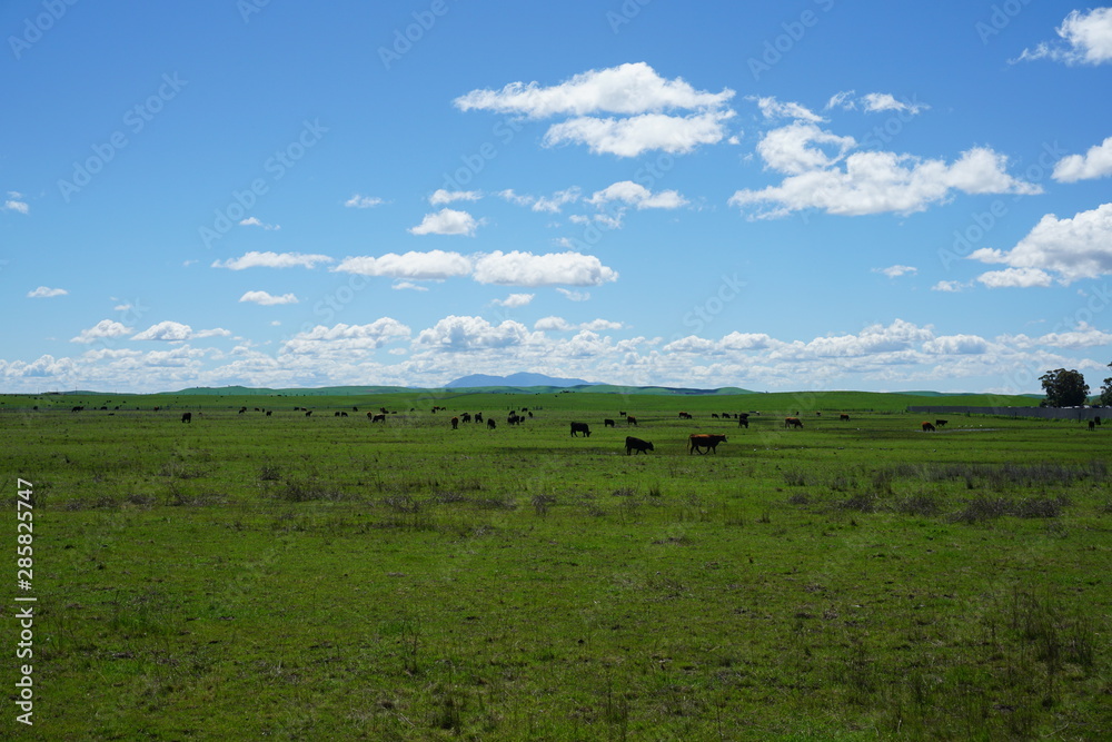 landscape with blue sky and clouds