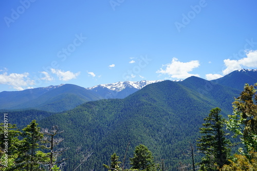 Beautiful snow capped mountains in Olympic National Park in summer in Washington, near Seattle