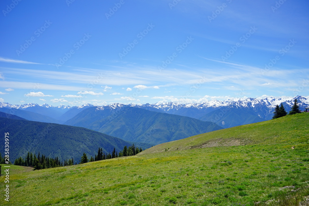 Beautiful mountains in Olympic National Park in summer in Washington, near Seattle	