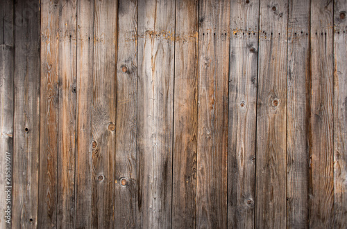 Wood texture