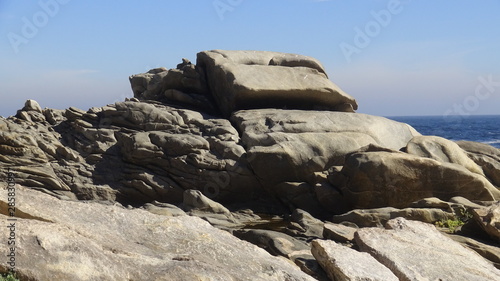 landscape of rocky beach and nature