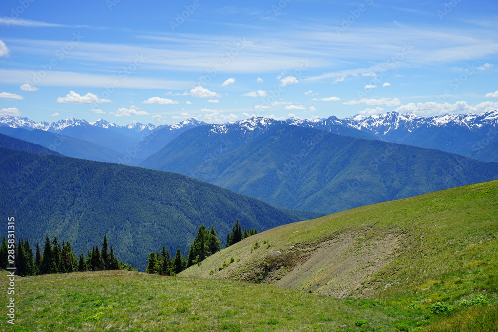 Beautiful mountains in Olympic National Park in summer in Washington, near Seattle