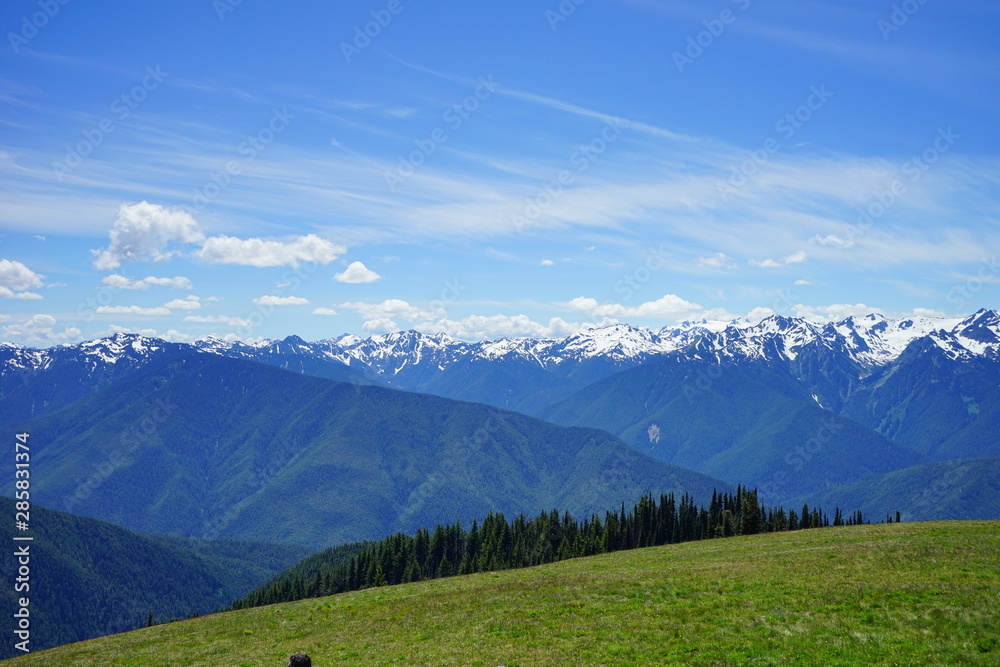 Beautiful snow capped mountains in Olympic National Park in summer in  Washington, near Seattle