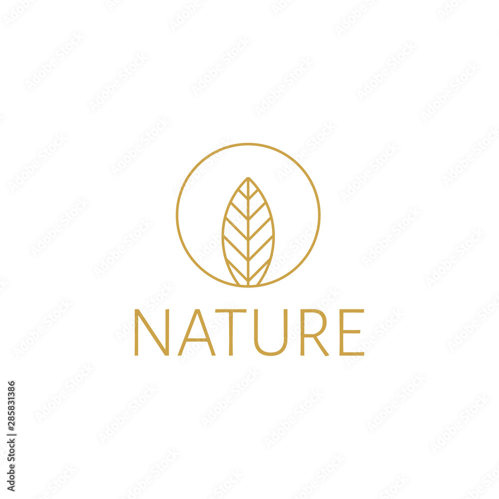 vector illustration leaf mono line logo icon gold color vector illustration leaf mono line logo icon gold color