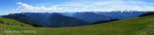 Beautiful  mountains in Olympic National Park in summer in Washington  near Seattle  
