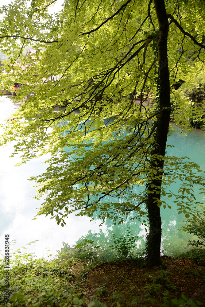 Fototapeta premium Blautopf in Blaubeuren