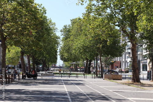 Mail "François Mitterrand" - Rue et allées bordées d'arbres dans la ville de Rennes - Département Ile et Vilaine - Région Bretagne - France