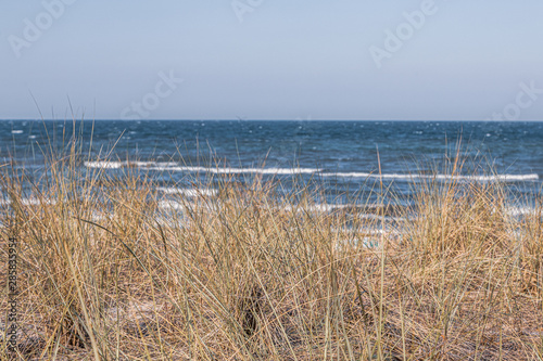 the beach of the Baltic Sea wind and swell