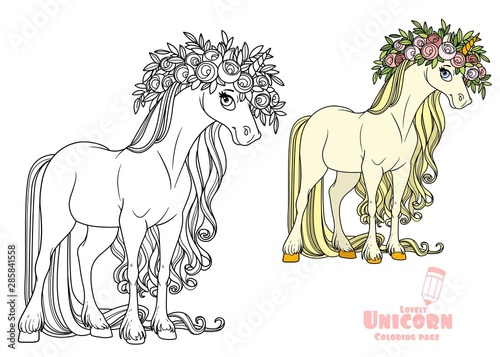 Magical unicorn in a magnificent wreath of roses color and outlined picture for coloring book on white background