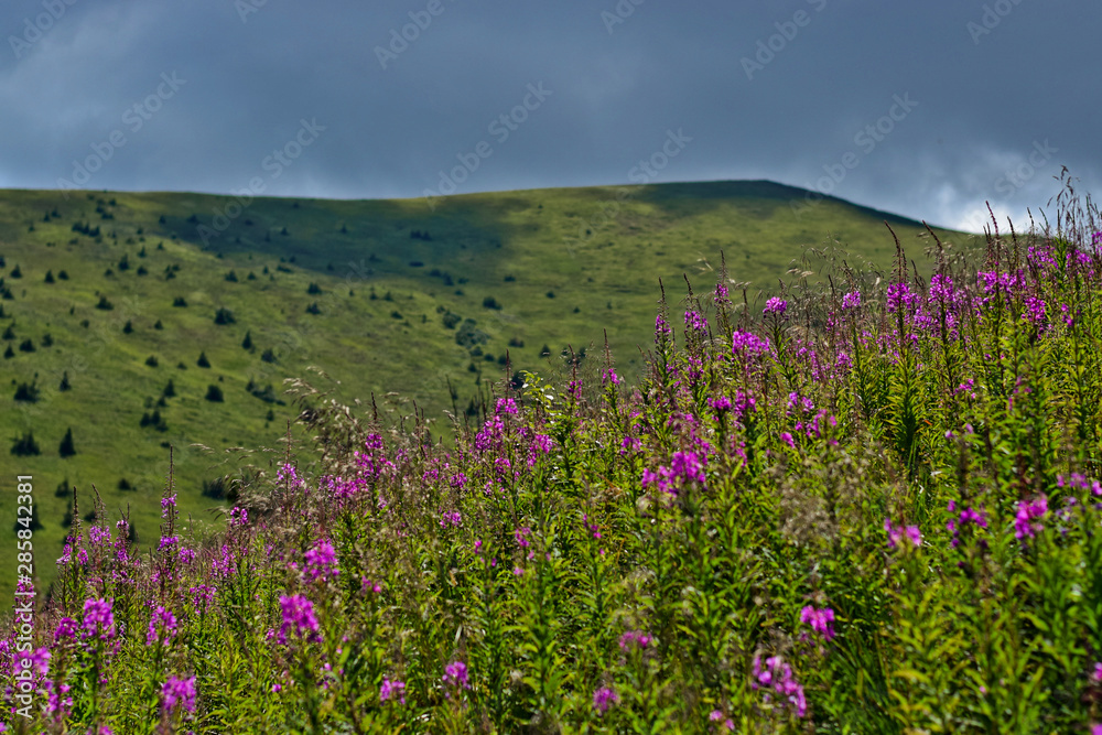 Obraz premium The mountains