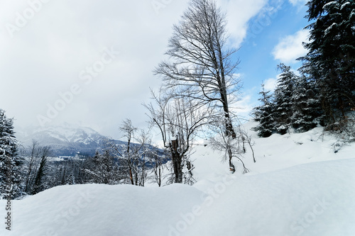 Scenery and snow winter landscape Bad Goisern Austria Alpine mountains photo