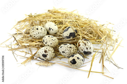 Quail eggs in a straw nest isolated on white background.