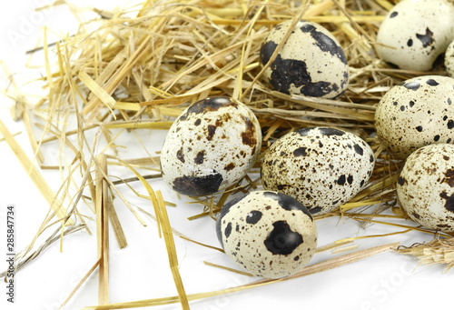 Quail eggs in a straw nest isolated on white background.
