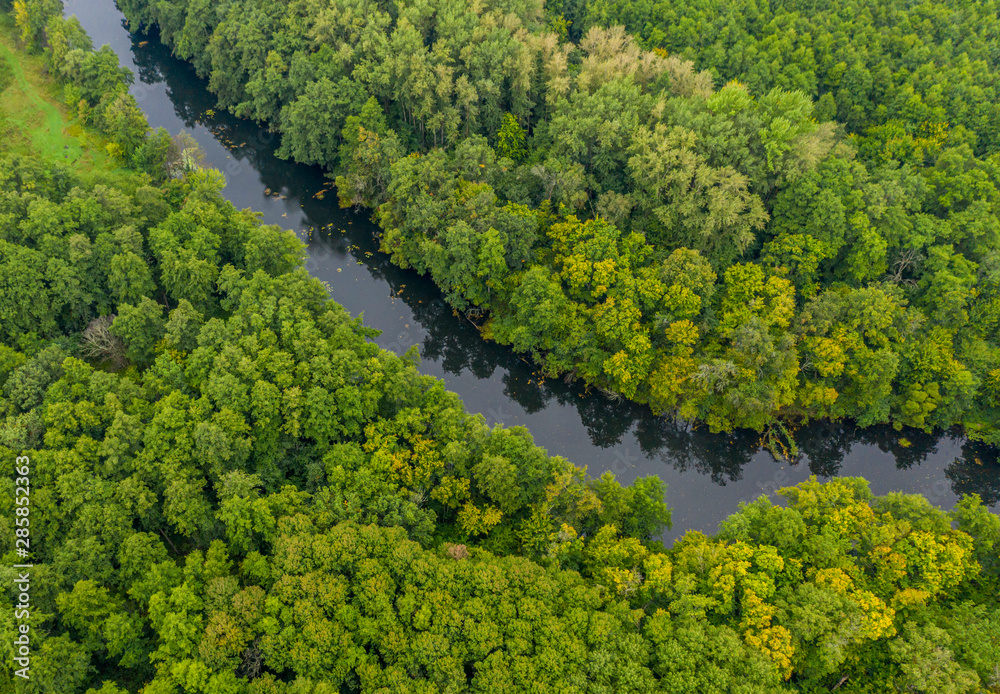 river flowing through the forest thicket with a quadcopter