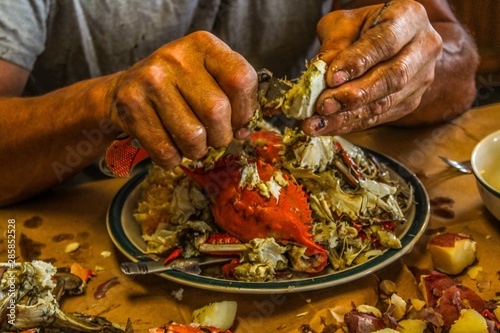 Older man with very strong looking hands eating a crab at a traditional Cajun seafood boil served steaming hot on brown paper
