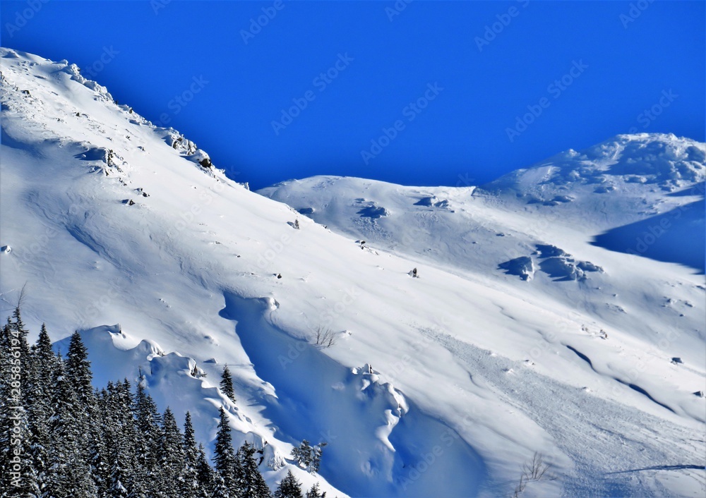 the ridges of the Fagaras mountains covered with snow