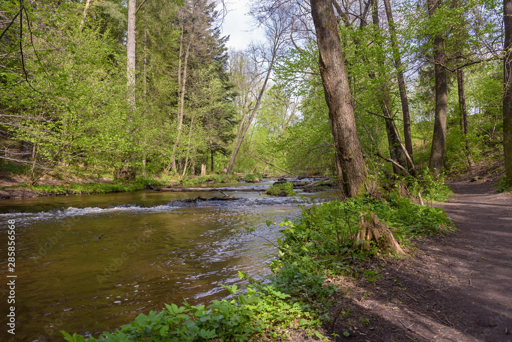Path at the Tanew river in nature reserve Nad Tanwia Path at the Tanew river in nature reserve Nad Tanwia