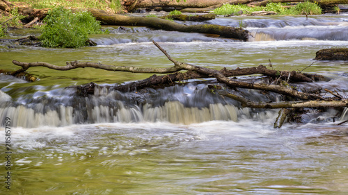 Tanew river in nature reserve Nad Tanwia photo