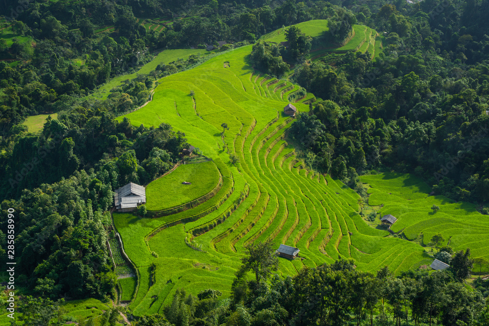 Rice fields on terraced of Hoang Su Phi country, Ha Giang province the most popular travel destinations of Northern Vietnam