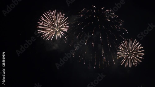 Fireworks burst to life in the night sky. photo