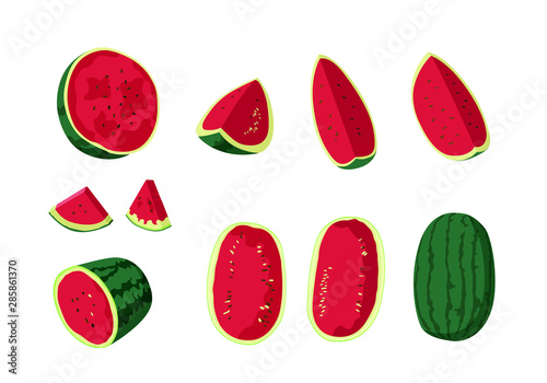 watermelon fruit fresh on white background illustration vector 