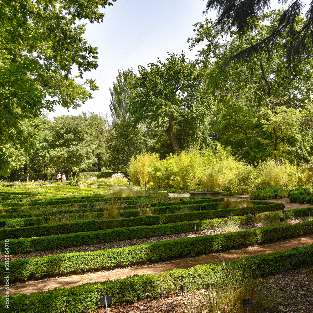 Madrid, Spain - July 21, 2019: Royal Botanical Gardens (Real Jardin Botanico) Madrid, Spain - July 21, 2019: Royal Botanical Gardens (Real Jardin Botanico)
