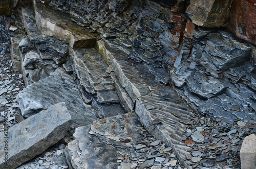 Broken Slate Pieces Showing Fossil Wave Patterns Joggins Fossil Cliffs Nova Scotia Canada photo