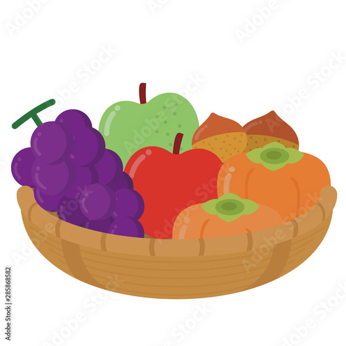 秋の果物　かご盛りセット　イラスト