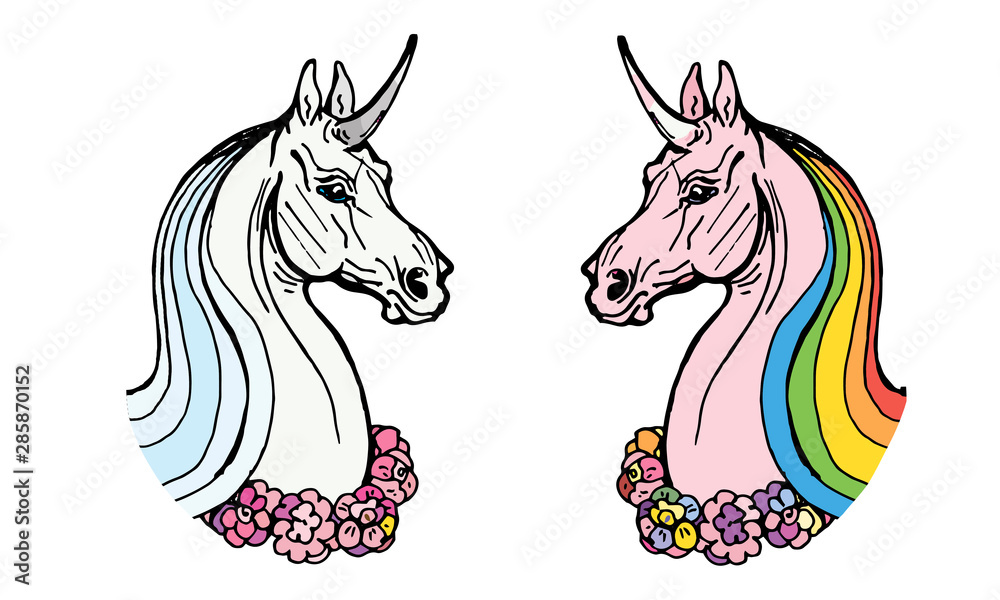 Fototapeta isolated image. two unicorn heads on white and colored background with rainbow mane and wreath on neck
