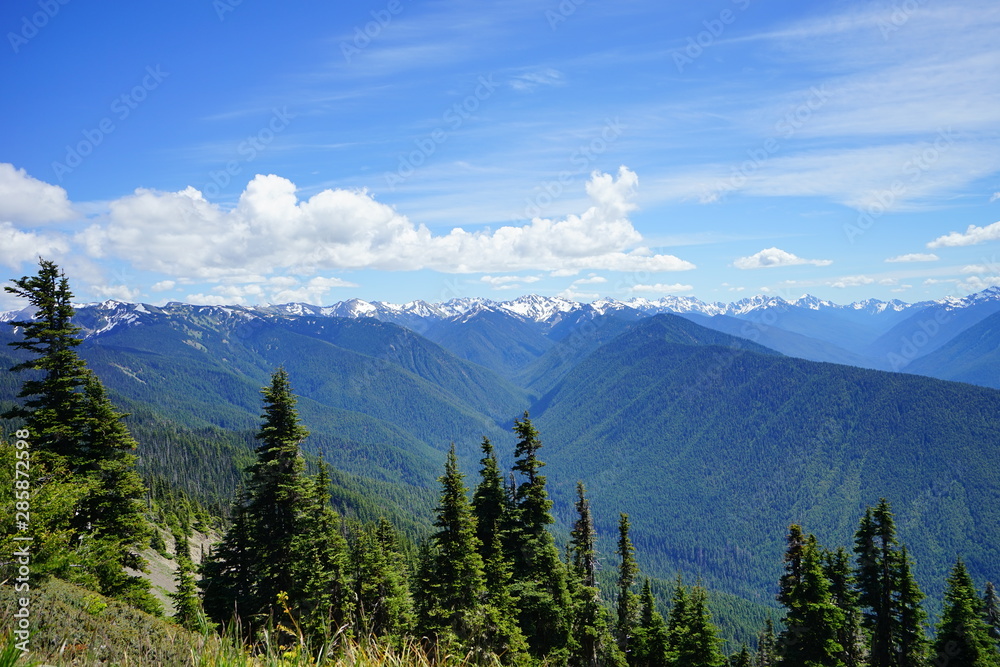Fototapeta premium Beautiful snow capped mountains in Olympic National Park in summer in Washington, near Seattle